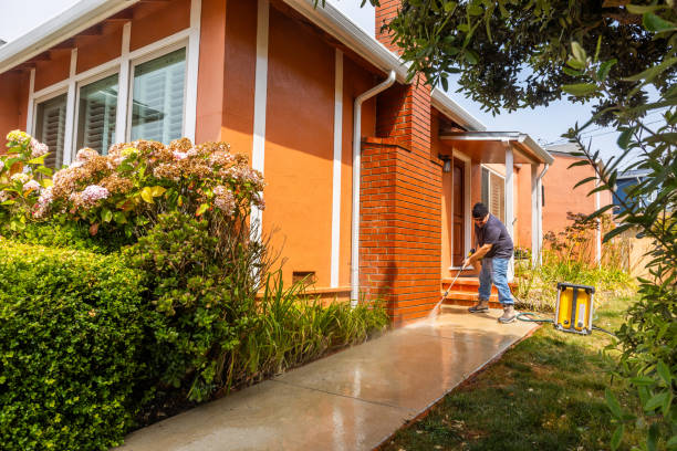 Best Roof Power Washing Services  in Loyal, WI