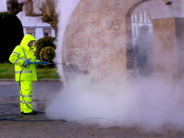 Best Power Washing Near Me  in Loyal, WI